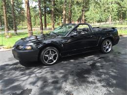 2001 Ford Mustang SVT Cobra (CC-736945) for sale in Woodland Park, Colorado