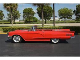 1960 Ford Thunderbird (CC-737099) for sale in Miami, Florida