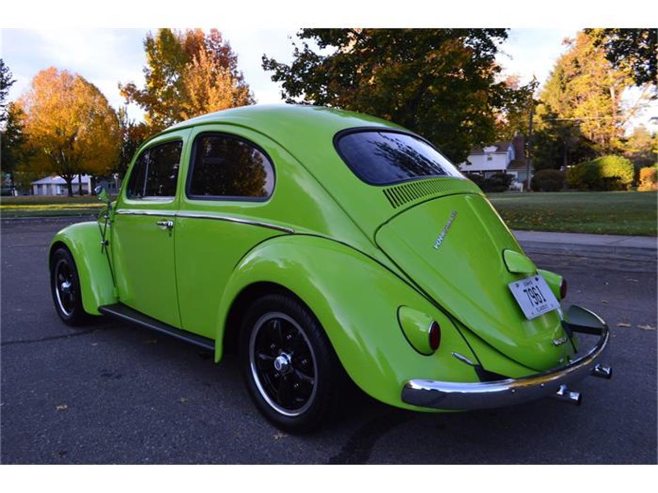 Volkswagen beetle 1959