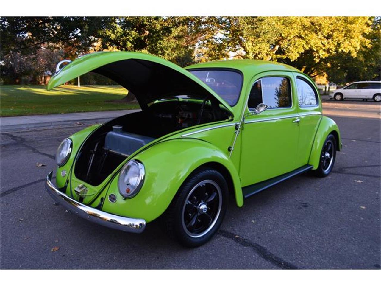 Volkswagen beetle 1959