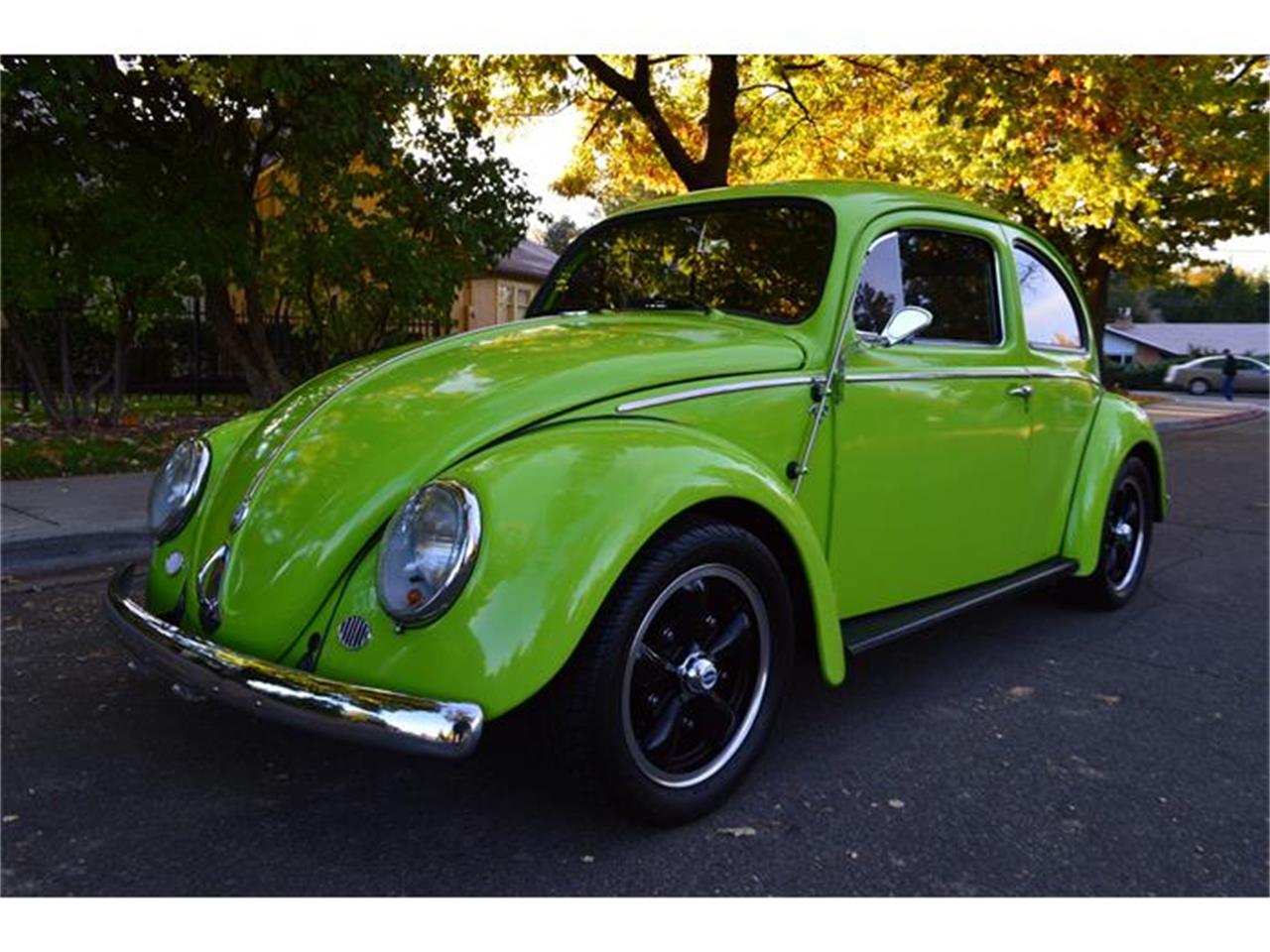 Volkswagen beetle 1959