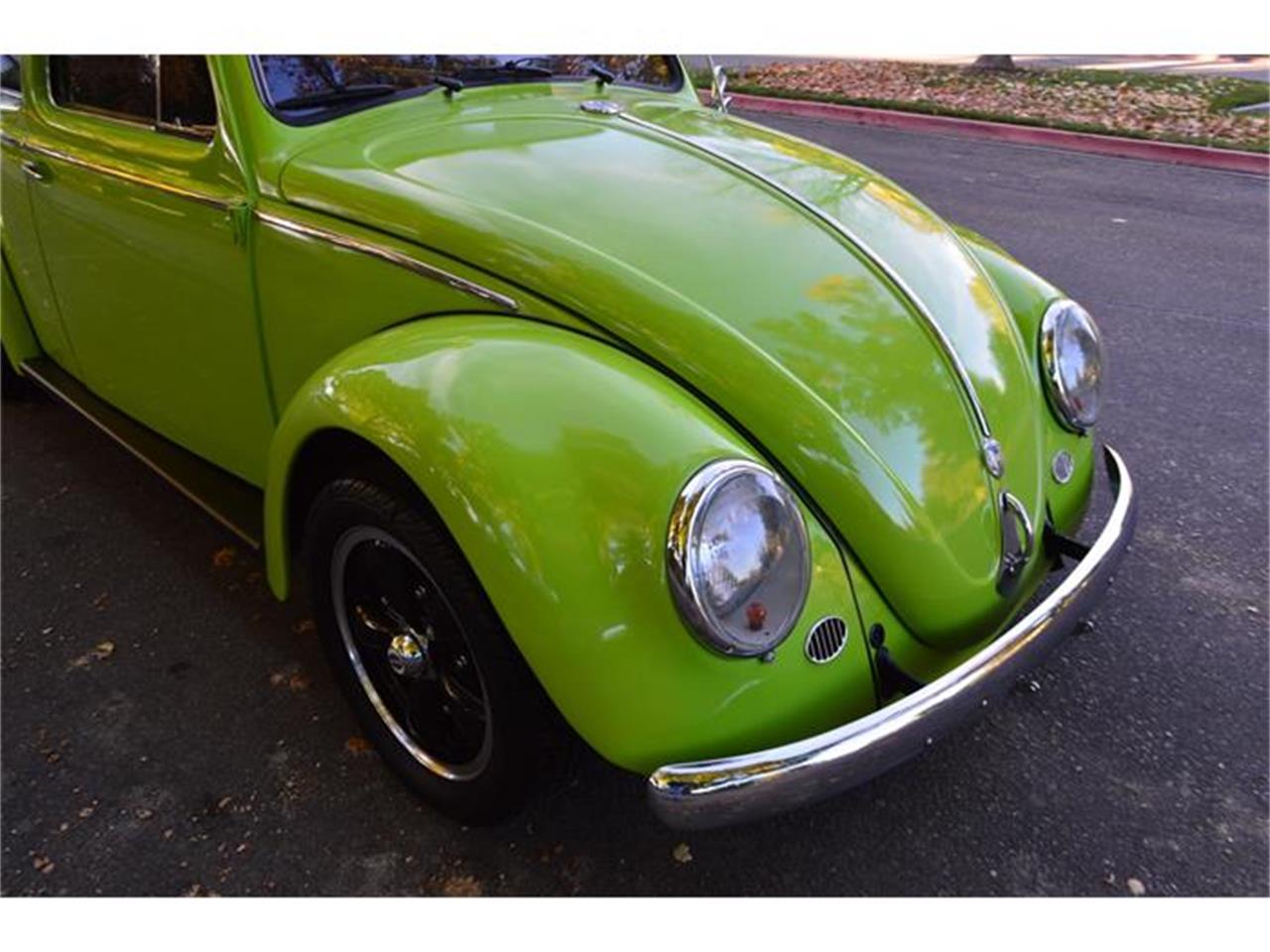 Volkswagen beetle 1959