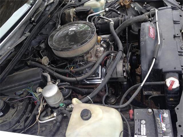 1981 Chevrolet Monte Carlo (CC-745243) for sale in Saint Edward, Nebraska