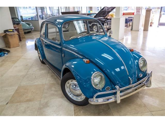 1965 Volkswagen Beetle (CC-758253) for sale in San Juan Capistrano, California