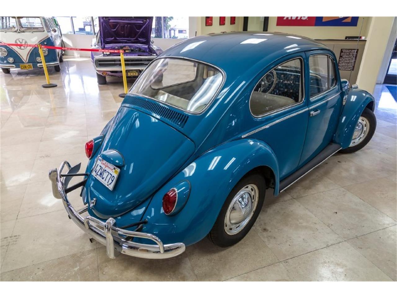 Volkswagen 65 beetle