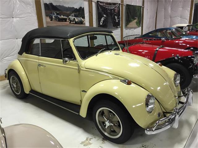 1967 Volkswagen Beetle (CC-758365) for sale in Sylvania, Ohio
