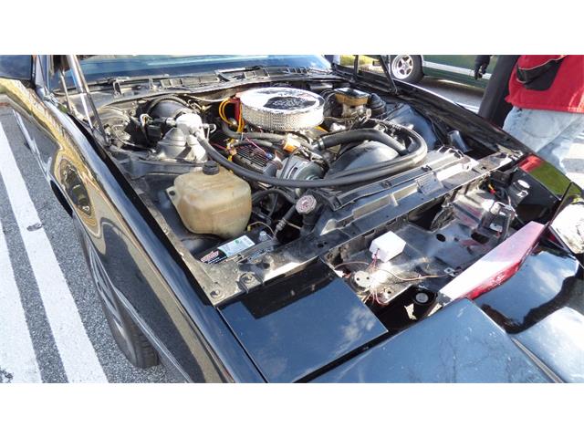 1982 Pontiac Firebird Trans Am (CC-758820) for sale in Atlanta, Georgia