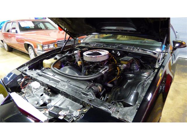 1982 Pontiac Firebird Trans Am (CC-758820) for sale in Atlanta, Georgia