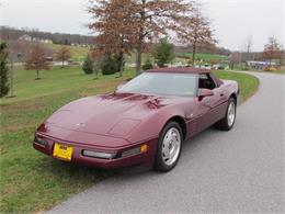 1993 Chevrolet Corvette (CC-760318) for sale in Lee, North Carolina