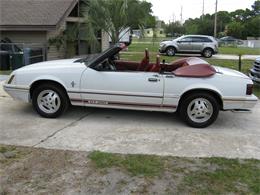 1984 Ford Mustang (CC-763242) for sale in Hudson, Florida