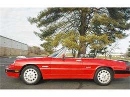 1988 Alfa Romeo Quadrifoglio (CC-769924) for sale in Fredericksburg, Virginia
