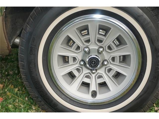 1977 Ford Thunderbird (CC-770192) for sale in Monroe, New Jersey