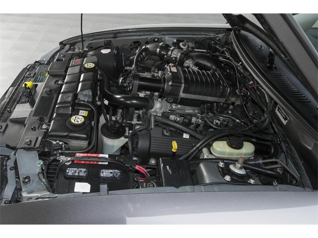 2003 Ford Mustang S281 S/C (CC-772102) for sale in Charlotte, North Carolina