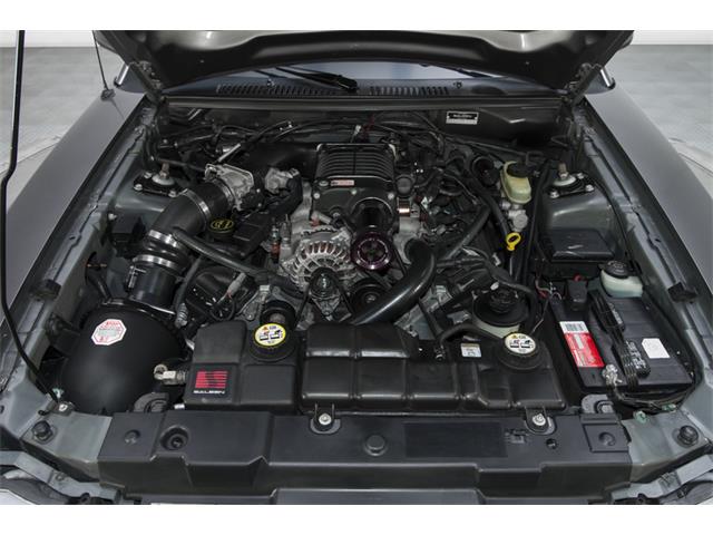 2003 Ford Mustang S281 S/C (CC-772102) for sale in Charlotte, North Carolina