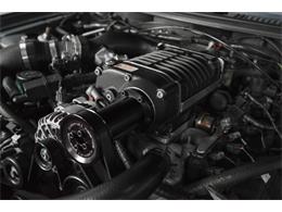 2003 Ford Mustang S281 S/C (CC-772102) for sale in Charlotte, North Carolina