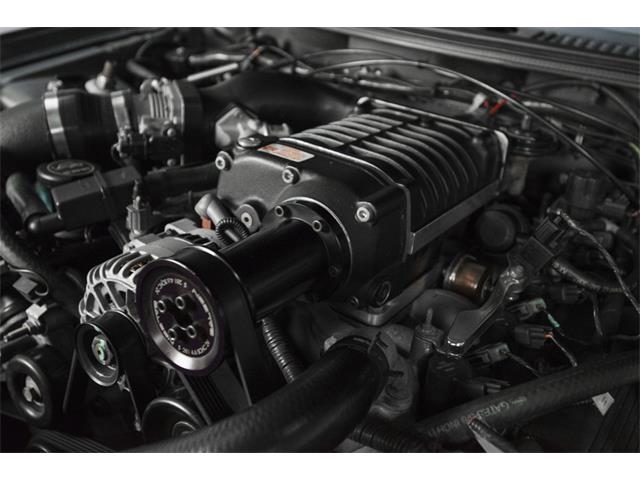 2003 Ford Mustang S281 S/C (CC-772102) for sale in Charlotte, North Carolina