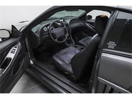 2003 Ford Mustang S281 S/C (CC-772102) for sale in Charlotte, North Carolina