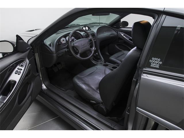 2003 Ford Mustang S281 S/C (CC-772102) for sale in Charlotte, North Carolina