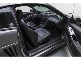 2003 Ford Mustang S281 S/C (CC-772102) for sale in Charlotte, North Carolina