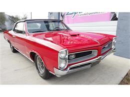 1966 Pontiac GTO (CC-772496) for sale in Fort Lauderdale, Florida