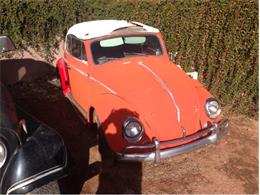 1963 Volkswagen Convertible (CC-774680) for sale in Sierra Vista, Arizona