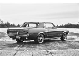 1968 Ford Mustang (CC-777068) for sale in Brooklyn, New York