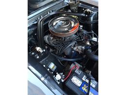 1968 Ford Mustang (CC-777068) for sale in Brooklyn, New York