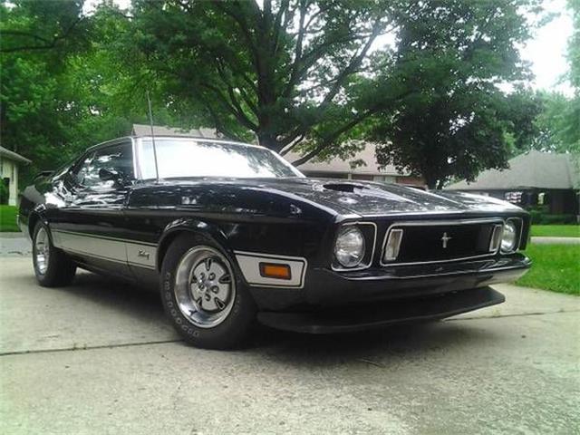 1973 Ford Mustang (CC-778971) for sale in Cadillac, Michigan