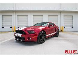 2013 Shelby GT500 (CC-783056) for sale in Ft. Lauderdale, Florida