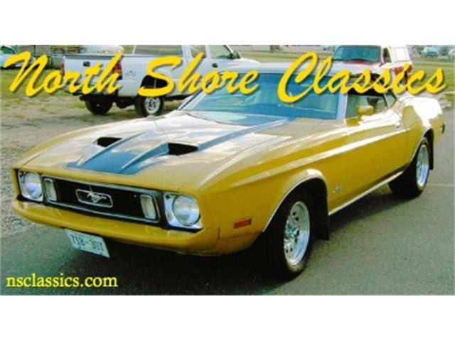 1973 Ford Mustang (CC-786054) for sale in Palatine, Illinois