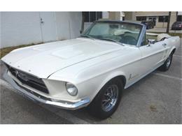 1967 Ford Mustang (CC-787530) for sale in Pompano Beach, Florida