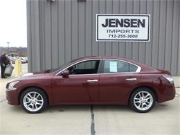 2013 Nissan Maxima (CC-798830) for sale in Sioux City, Iowa