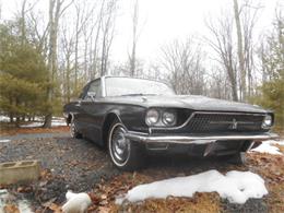 1966 Ford Thunderbird (CC-802285) for sale in Dingmans Ferry, Pennsylvania