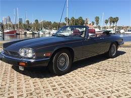 1989 Jaguar XJS (CC-803895) for sale in Tampa, Florida
