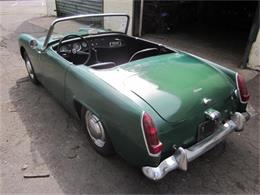 1964 Austin-Healey Sprite (CC-800056) for sale in Stratford, Connecticut