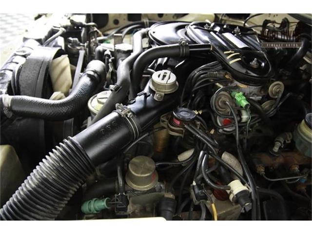 1987 Toyota Land Cruiser (CC-800701) for sale in Denver, Colorado