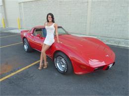 1979 Chevrolet Corvette (CC-814519) for sale in Fort Myers/ Macomb, MI, Florida