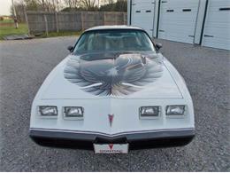 1980 Pontiac Firebird Trans Am (CC-814648) for sale in Knightstown, Indiana
