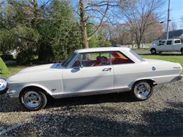 1965 Chevrolet Nova SS (CC-815758) for sale in Monroe Twp, New Jersey