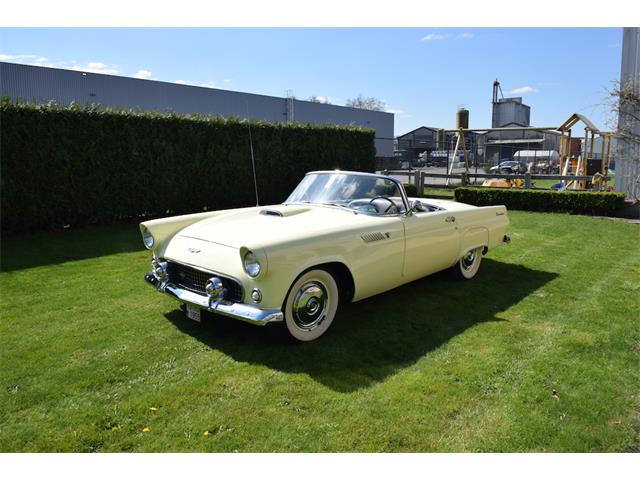 1955 Ford Thunderbird (CC-815870) for sale in Westmalle, europe