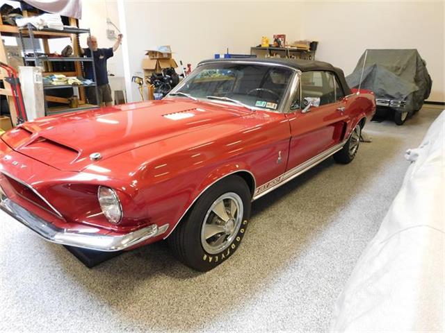 1968 Shelby GT500 (CC-816964) for sale in Scottsdale, Arizona