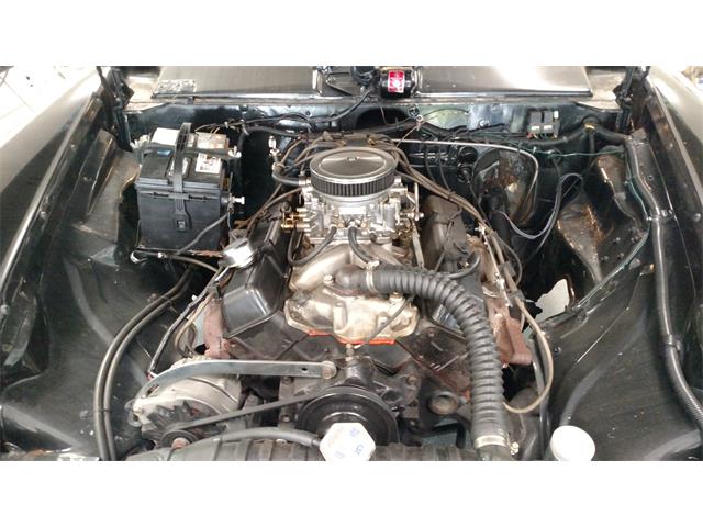 1955 Studebaker Champion (CC-819223) for sale in Alexandria, Virginia