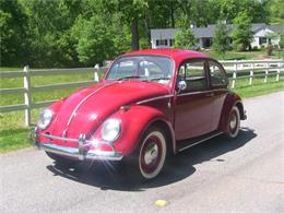 1966 Volkswagen Beetle (CC-821936) for sale in Cornelius, North Carolina