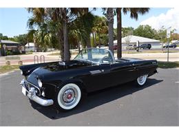 1955 Ford Thunderbird (CC-824535) for sale in Englewood, Florida