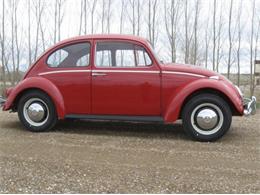 1966 Volkswagen Beetle (CC-826749) for sale in Reno, Nevada