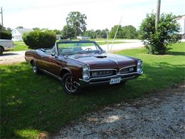 1967 Pontiac GTO (CC-829177) for sale in leitchfield, Kentucky