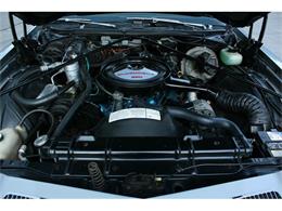 1976 Oldsmobile Cutlass Supreme (CC-829215) for sale in Lakeland, Florida
