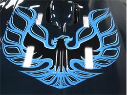 1975 Pontiac Firebird Trans Am (CC-836220) for sale in Concord, North Carolina