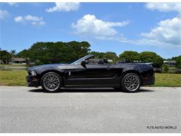 2011 Shelby GT500 (CC-844004) for sale in Clearwater, Florida