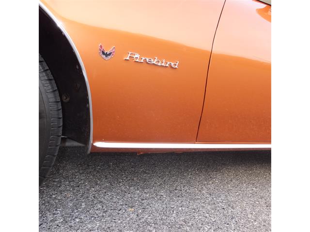 1973 Pontiac Firebird (CC-846430) for sale in Hainesport, New Jersey